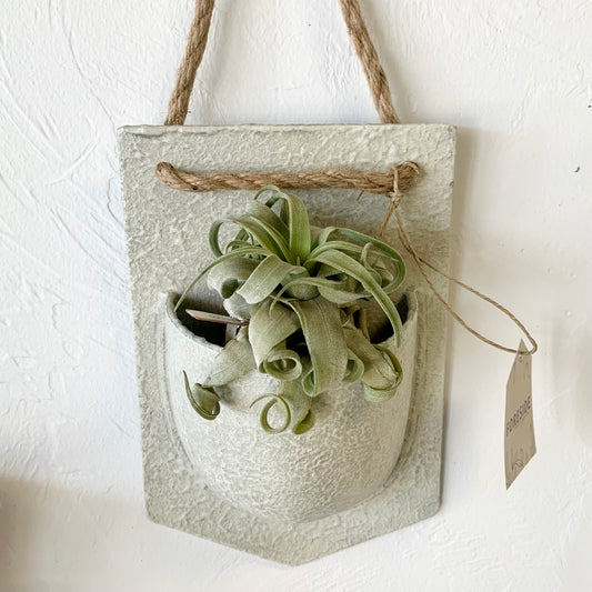Wall Pocket Planter