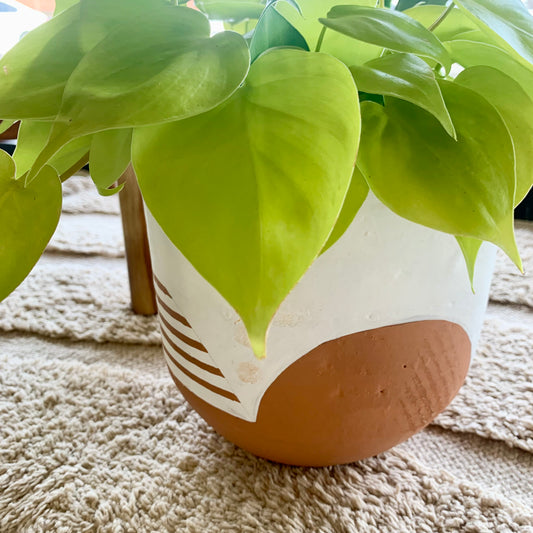 Modern White & Terracotta Planter