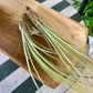 Tillandsia Juncea Air Plant