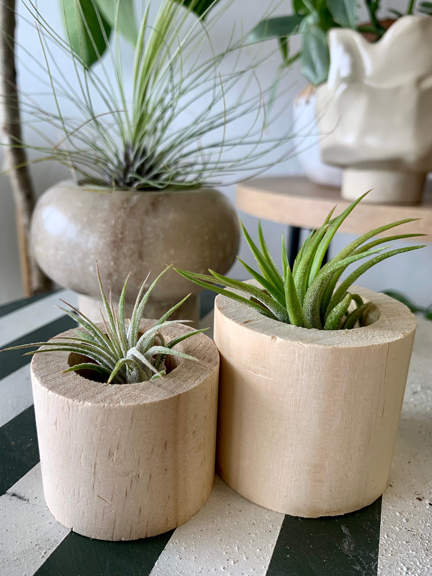 Wood Air Plant Holder