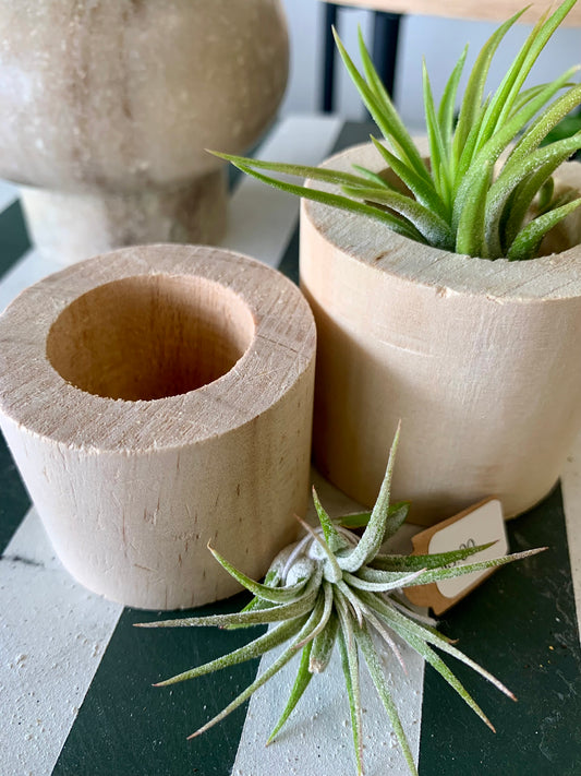 Wood Air Plant Holder