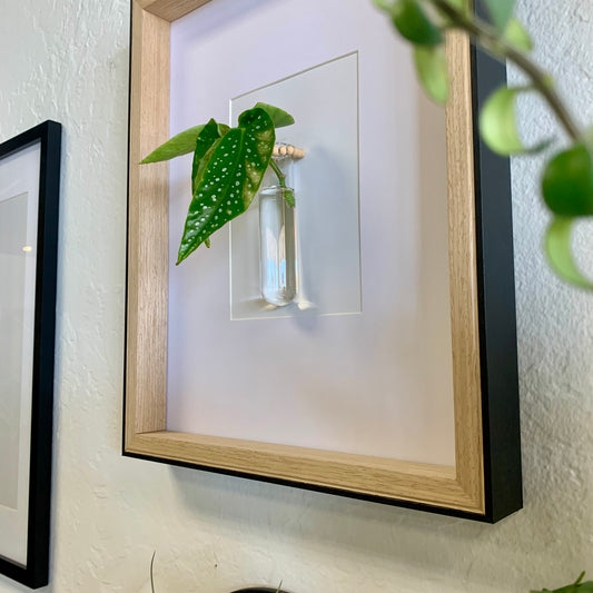 Living Art Frame w/ Cutting