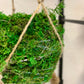 Kokedama