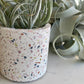 Mini Terrazzo Pot