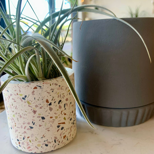 Mini Terrazzo Pot