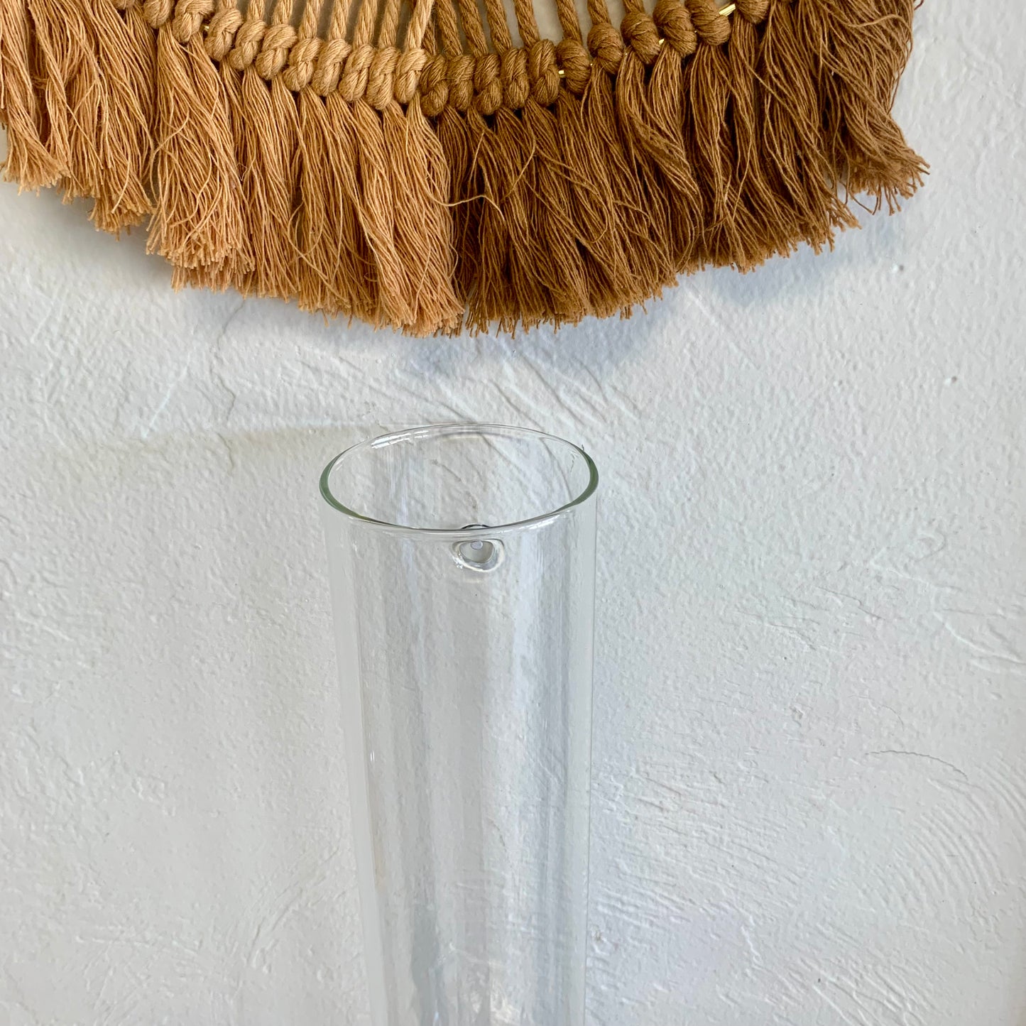 Tall Glass Propagation Vase