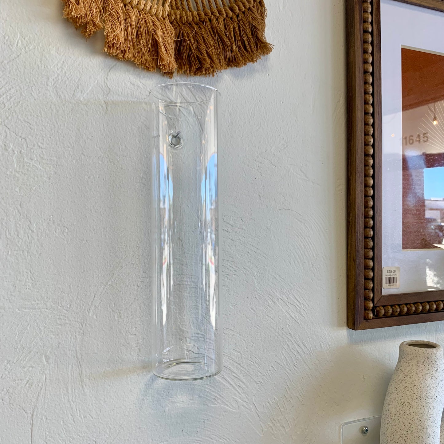 Tall Glass Propagation Vase