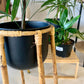 Boho Plant Stand