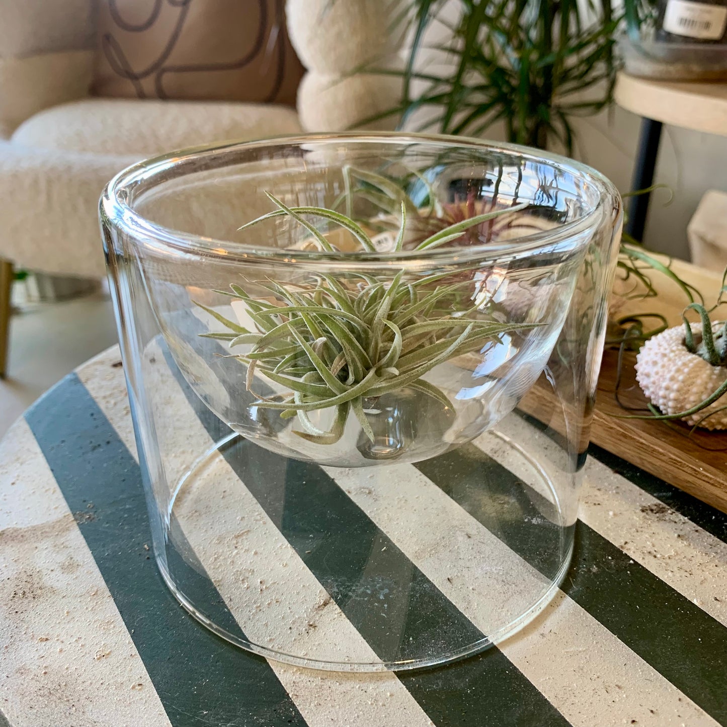 Modern Glass Bowl