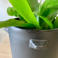 Modern Black Pot
