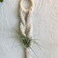 Macrame Air Plant Hanger