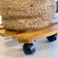 Round Plant Caddy