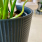 Textured Black Planter