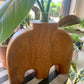Wood Propagation