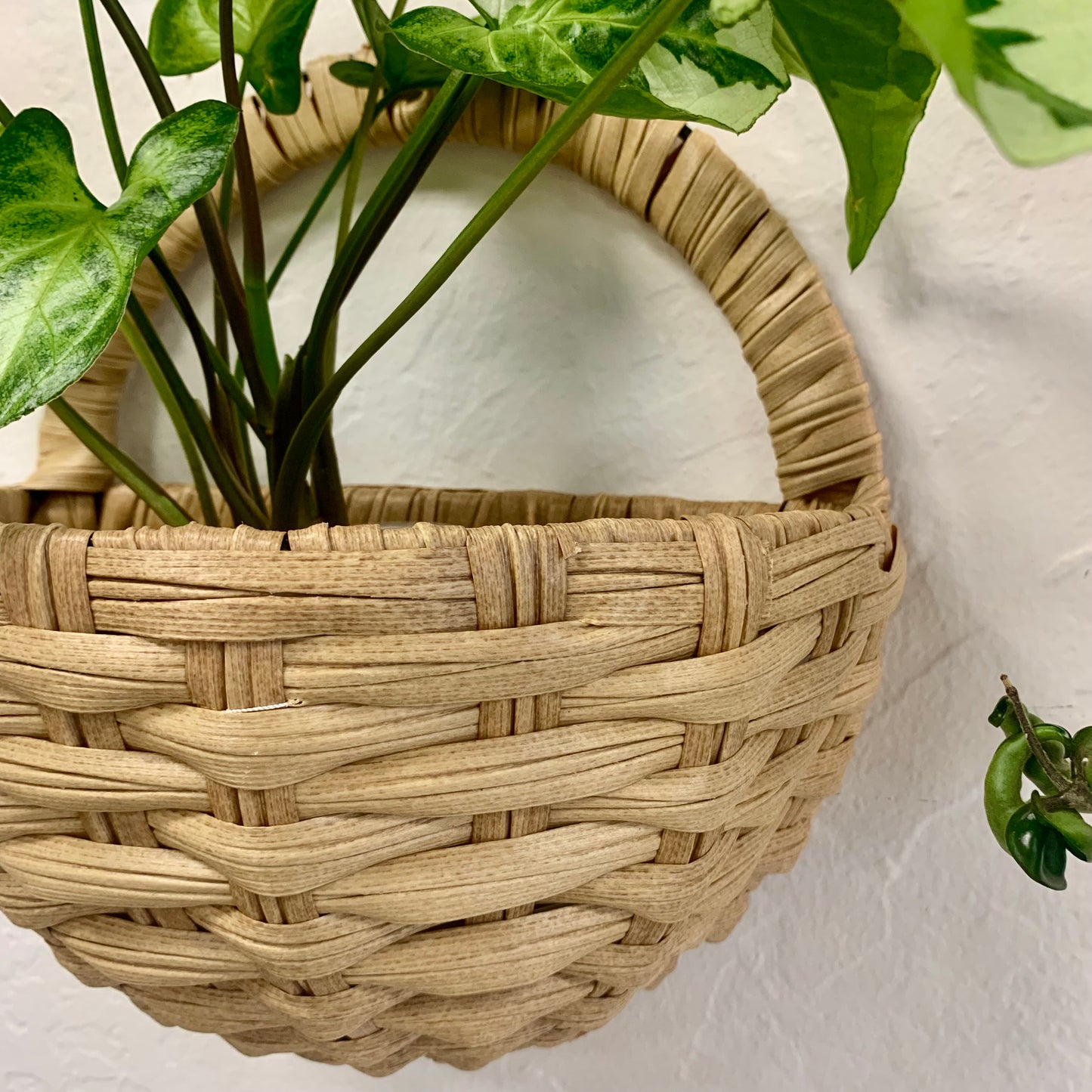 Indoor | Outdoor Resin Wicker Hanging Basket