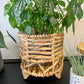 Lined Natural Seagrass Planter