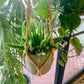 Wood Bead Plant Hanger