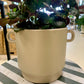 Simple Cream Colored Planter