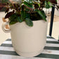 Simple Cream Colored Planter