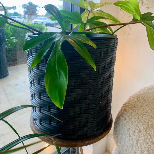 Indoor | Outdoor Black Planter
