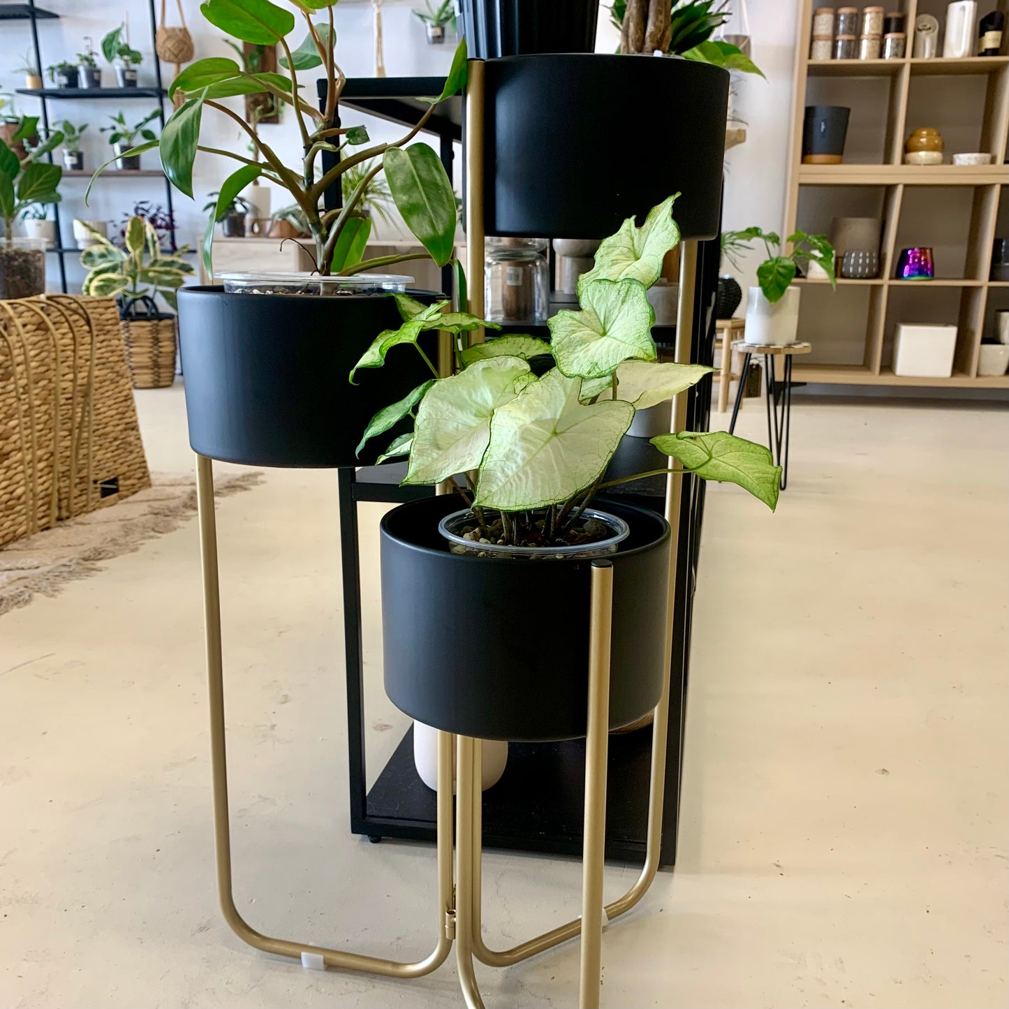 Modern 3 Tiered Plant Stand