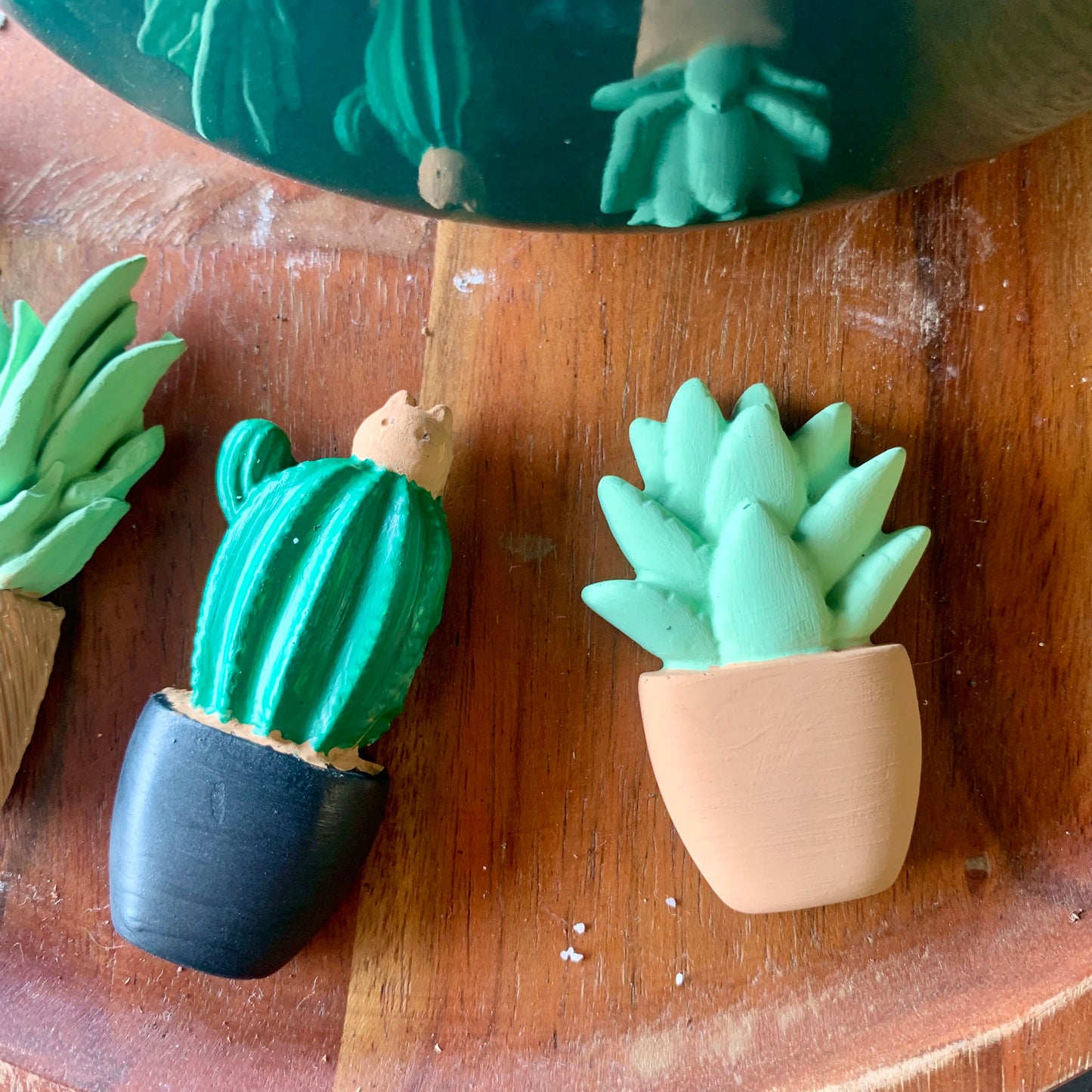 Potted Plants Mini Magnets