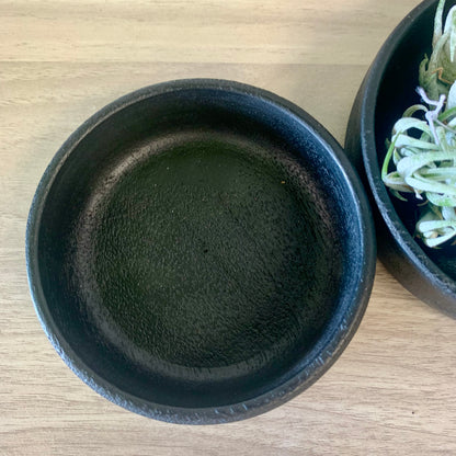 Wood Tray Air Plant Holder