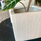Square White Planter