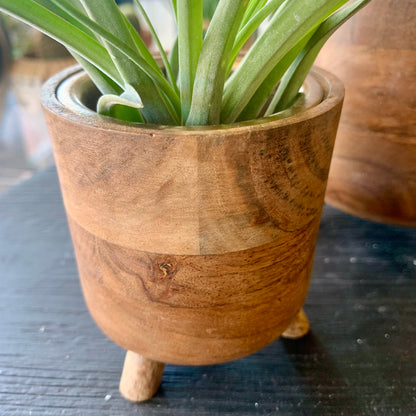 Small Footed Air Plant Holder