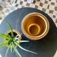 Wood Pot with Gold Interior