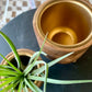 Wood Planter