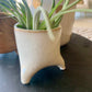 Mini Pot