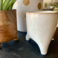 Mini Pot