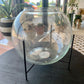 Glass Terrarium & Stand