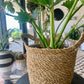 Natural Weave Basket