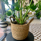 Natural Weave Basket