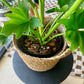 Natural Weave Basket
