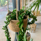 Natural Weave Hanging Basket