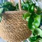 Natural Weave Hanging Basket