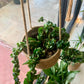 Natural Weave Hanging Basket