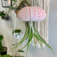 Jellyfish Hanging Airplant