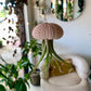 Jellyfish Hanging Airplant