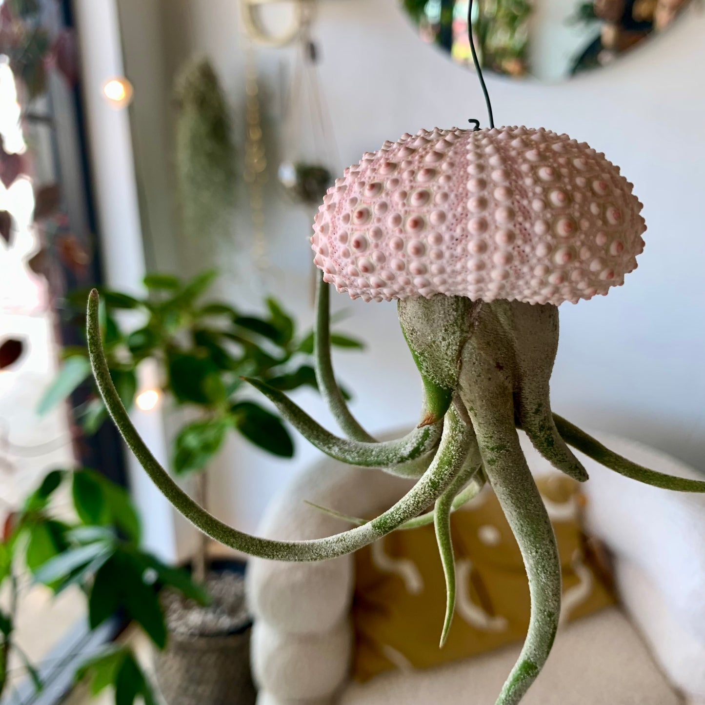 Jellyfish Hanging Airplant
