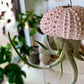 Jellyfish Hanging Airplant