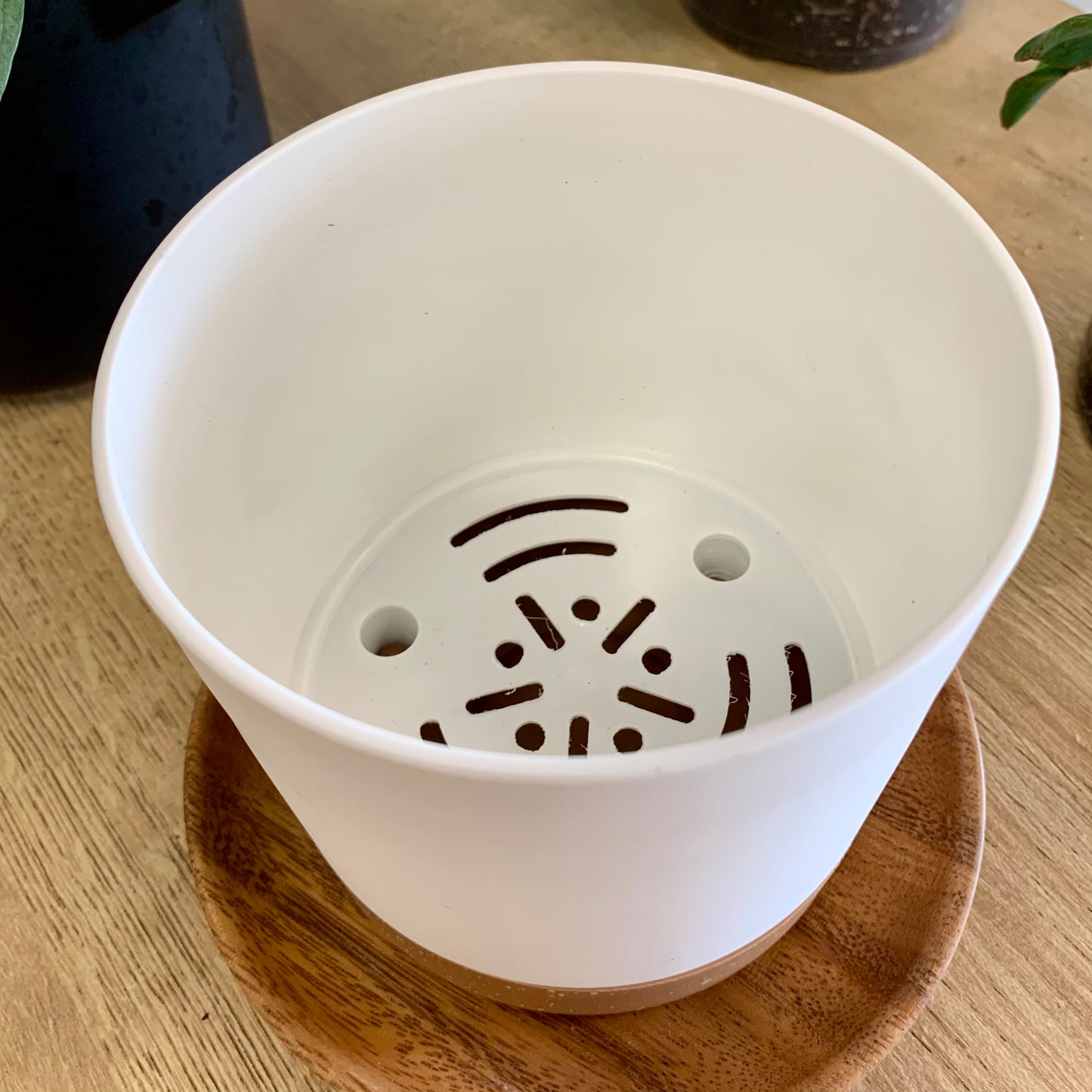 Plastic Pot with Drainage Tray