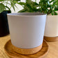 Plastic Pot with Drainage Tray