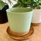 Plastic Pot with Drainage Tray