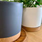 Plastic Pot with Drainage Tray