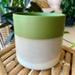 Lauris Pot