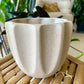 Beaumont Pot